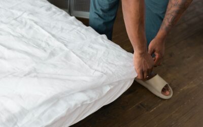 Punaises de lit : Comment les éliminer pour toujours ?